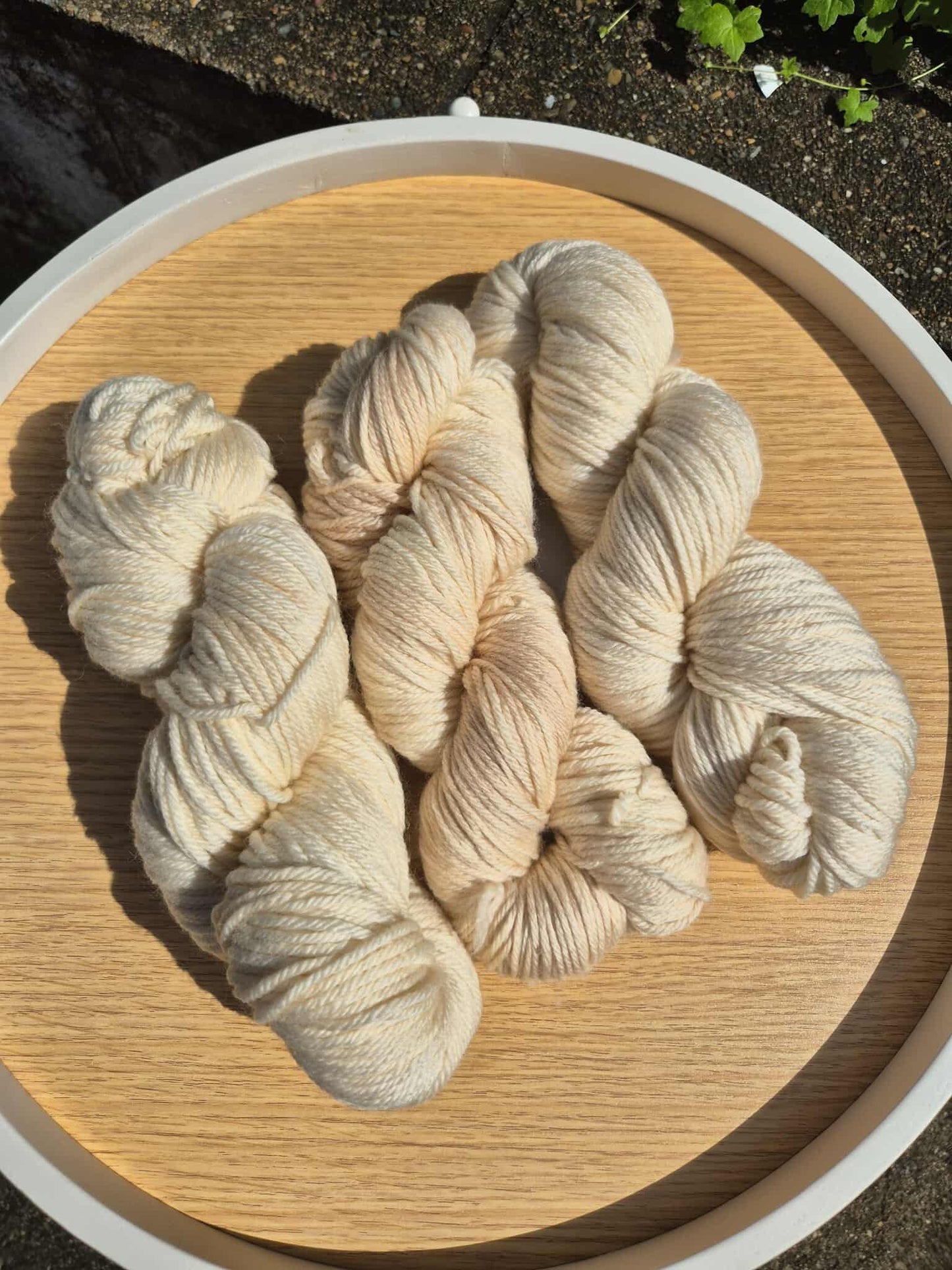 Wheat – Hand Dyed 100% Merino Yarn (8ply DK, 100g Skein)